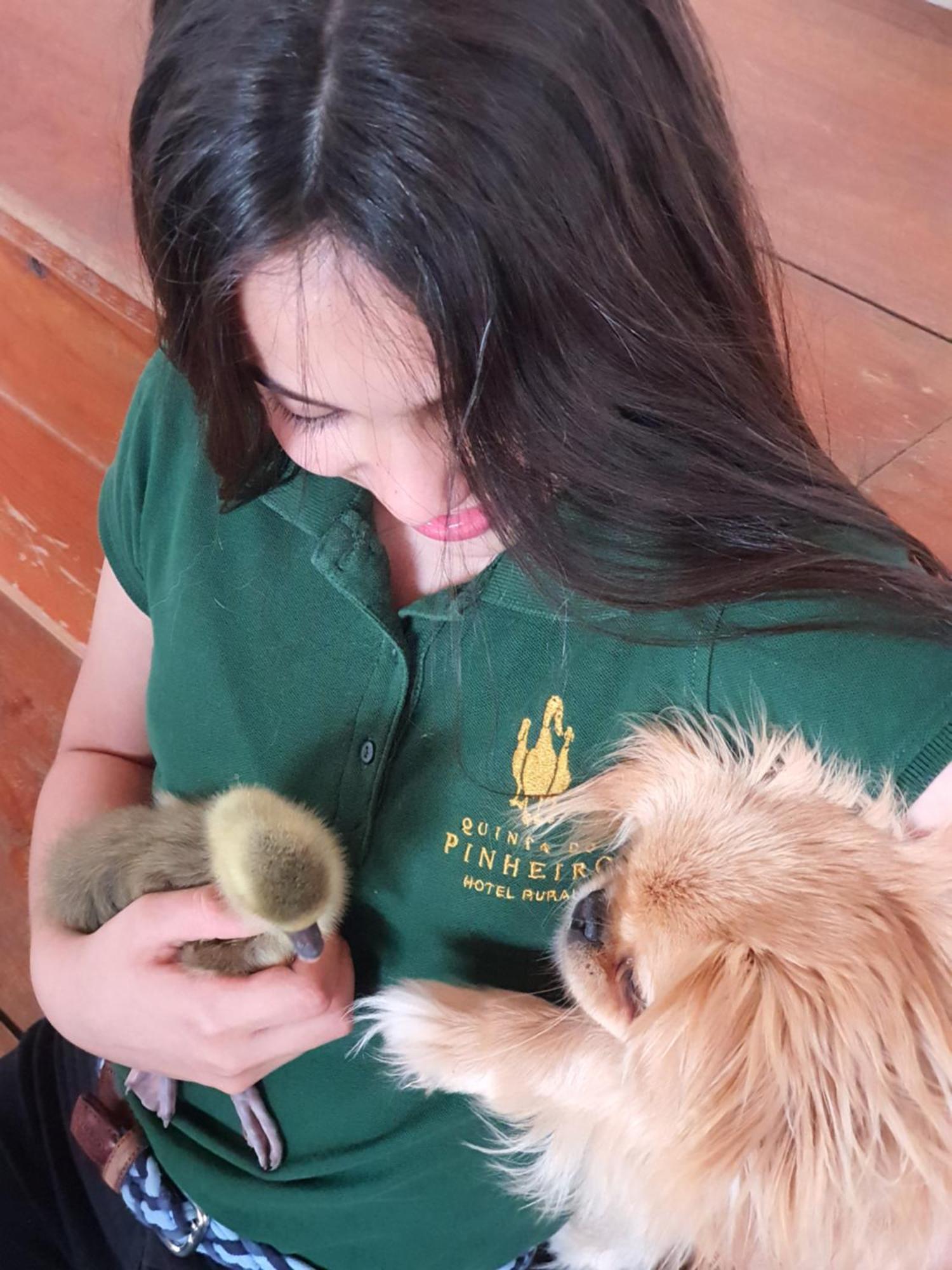 Quinta Do Pinheiro Hotel E Eventos By Grupo Quinta Dos Lagos Valado de Frades Eksteriør billede
