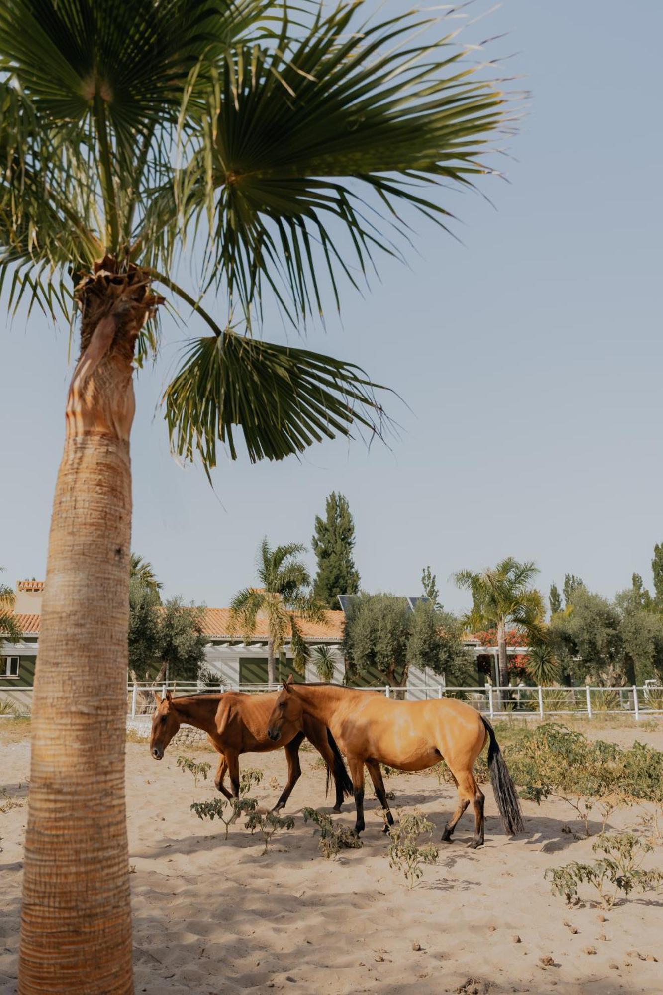 Quinta Do Pinheiro Hotel E Eventos By Grupo Quinta Dos Lagos Valado de Frades Eksteriør billede
