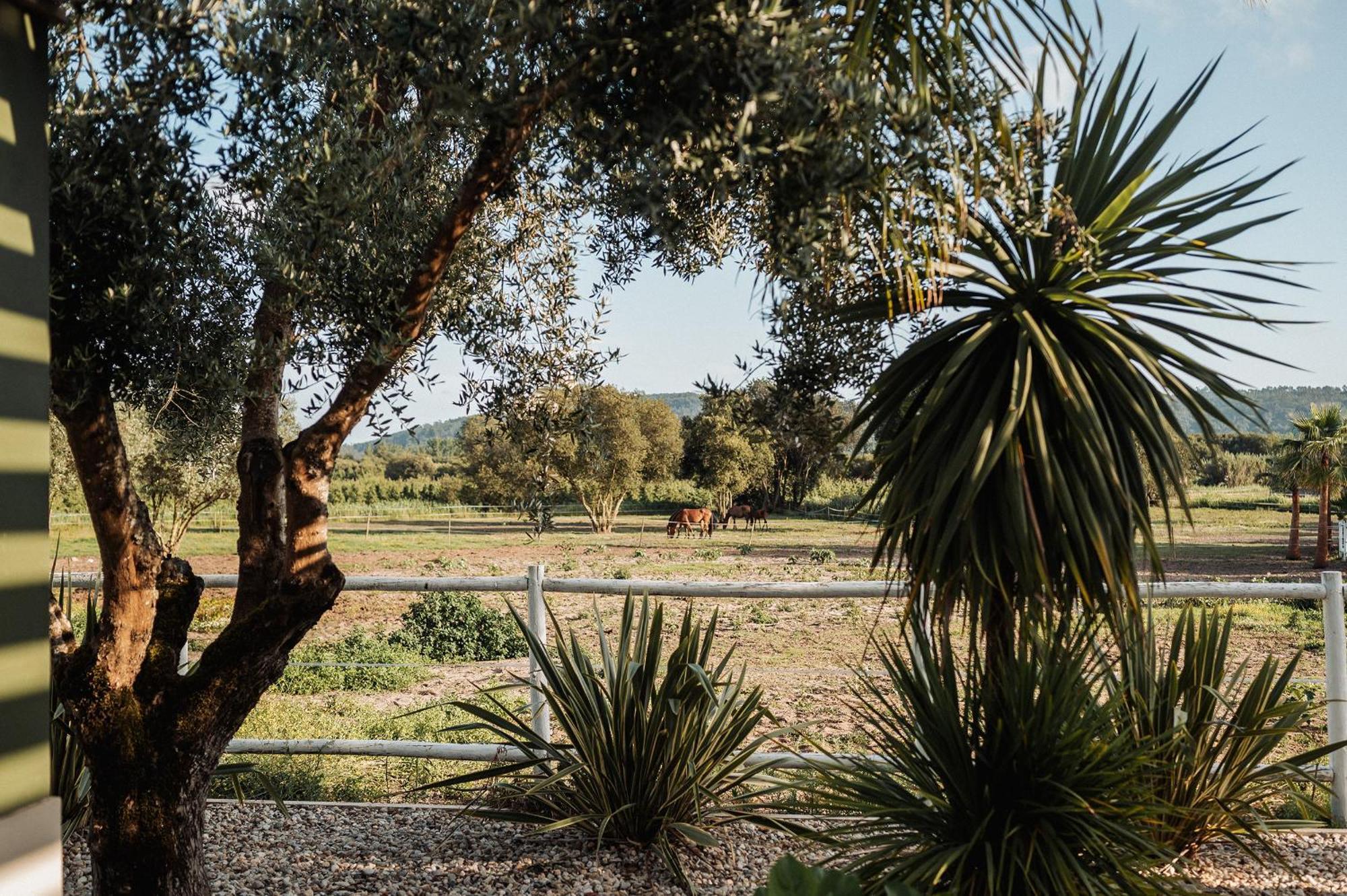 Quinta Do Pinheiro Hotel E Eventos By Grupo Quinta Dos Lagos Valado de Frades Eksteriør billede